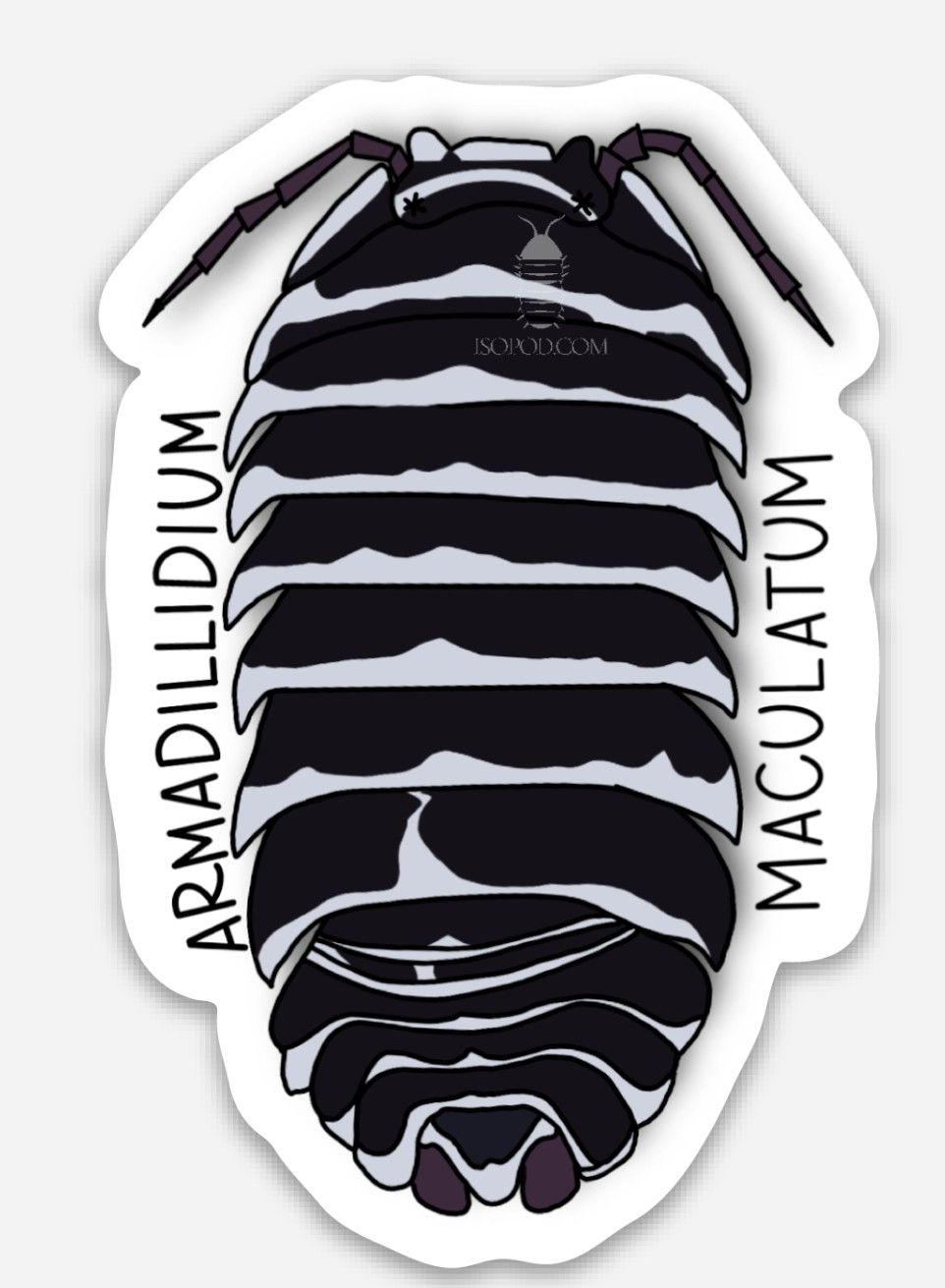 Thumbnail: Stickers