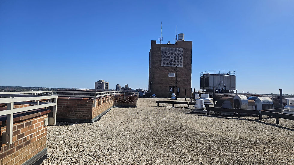 Thumbnail: Brooklyn Roof