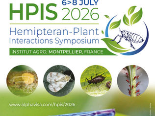 Representing the Lab at HPIS 2026 in France 
