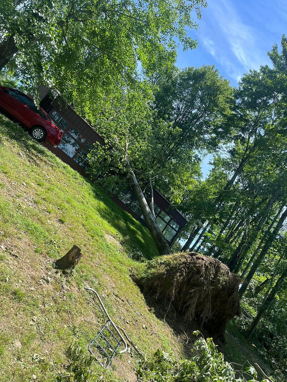 Tree Removal in Allegheny County, Pa