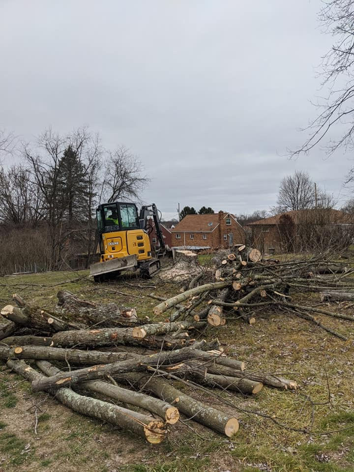 Tree Removal in North Huntingdon, Pa
