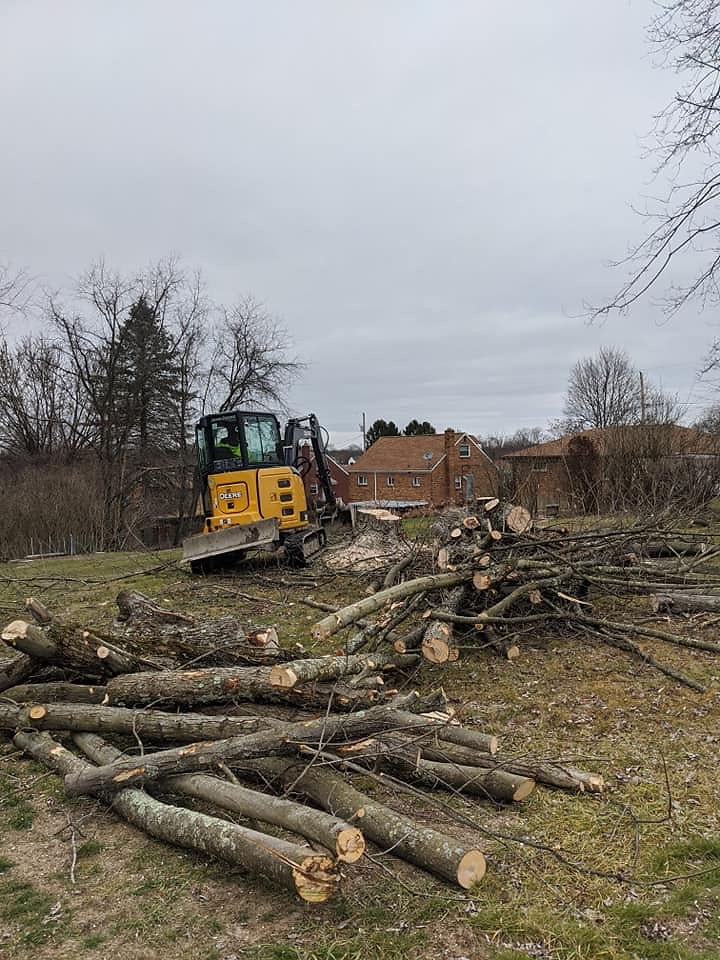 Tree Removal in Westmoreland County, Pa