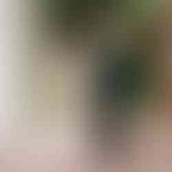 Bride and groom portrait outside church, Dallas Luxury Wedding