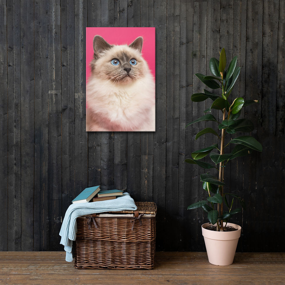 Don’t Blink Thin Canvas