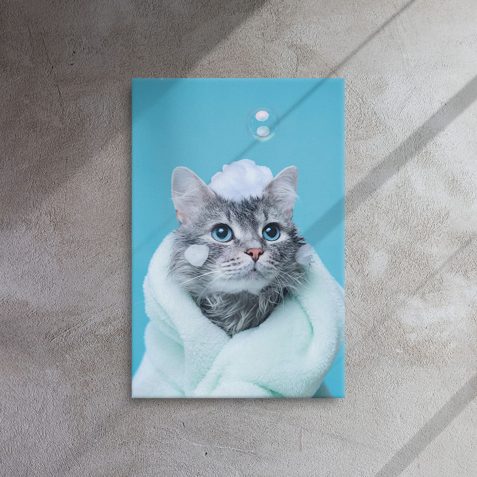 Soapurrstar Thin Canvas