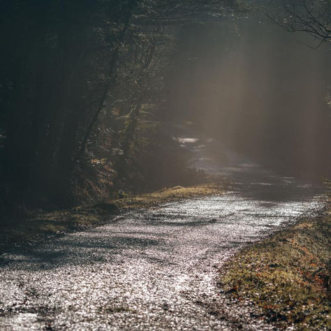 winding pathway