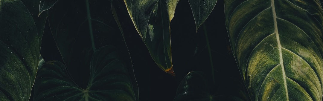 6D57E631-F959-49D0-BB3A-82B2C226057D.jpeg