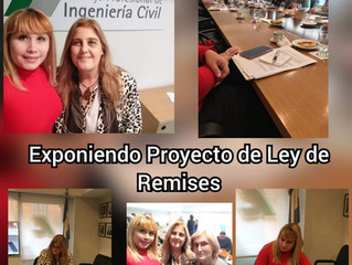 Exponiendo Proyecto Ley de Remises CRARA
