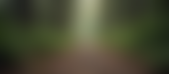 The Essence of Being a True Disciple: Understanding the Meaning of Discipleship