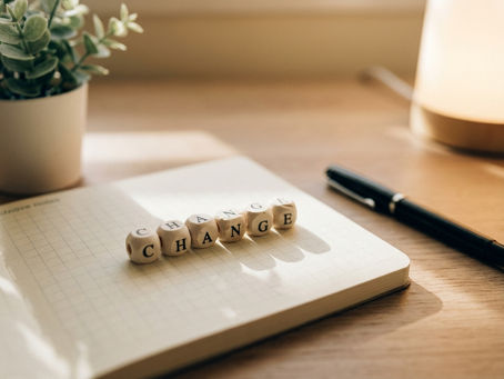 Your Daily Success System: How Busy Owners Turn Chaos into Consistent Wins (Meet UPDS)