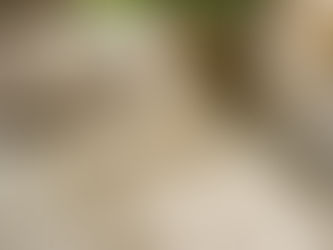 Unlock the Power of Daily Success: Habits That Build Sustainable Growth Every Day