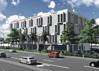 big-brothers-miami-1024x737.webp