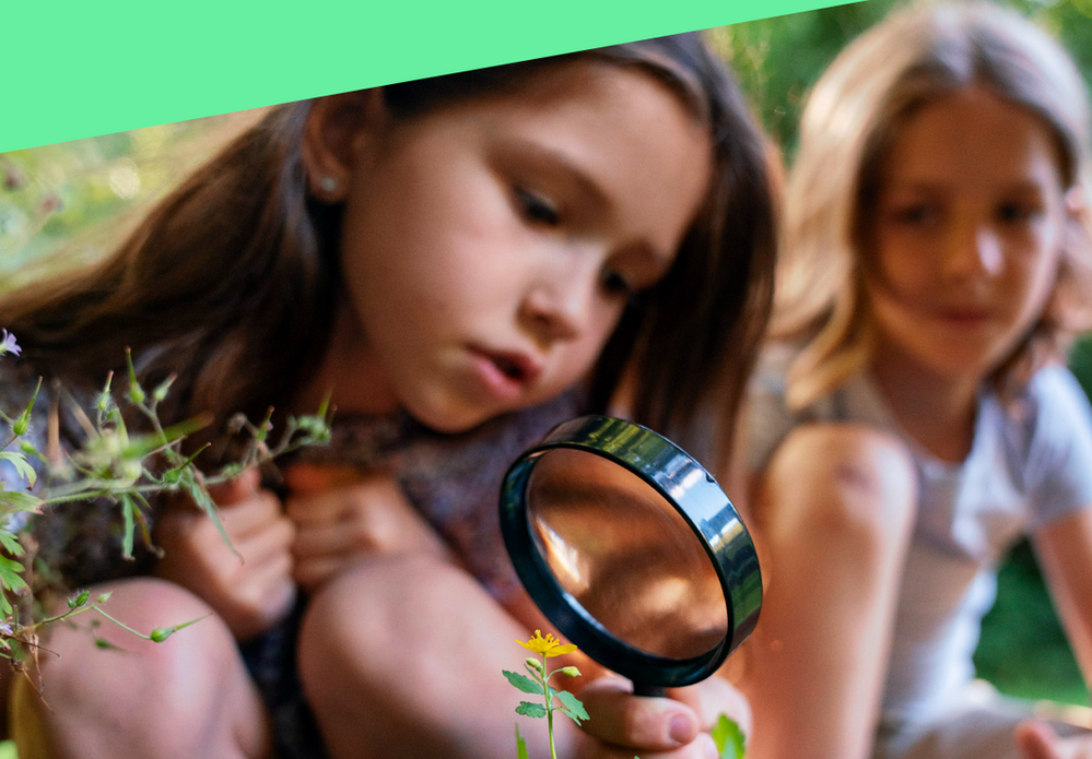 Accueil de loisirs d'été - Du 6 au 31 juillet 2026 - Inscriptions du 28 mai au 18 juin