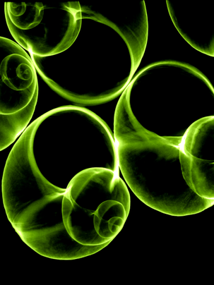 x-ray snails