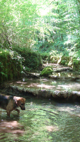 séjour maison vacances gîte Corrèze Dordogne France Sud-Ouest