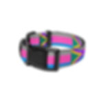 Miniatura: CTS Pride Pet collar
