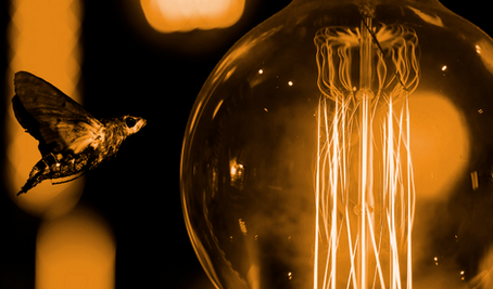 Light bulb