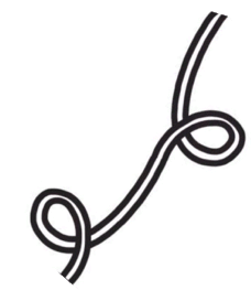 cord.gif