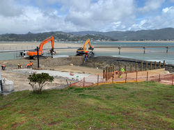 Early stages Pauanui 2019