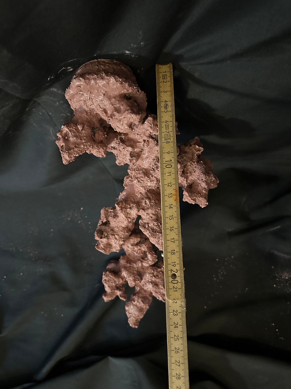 Miniaturbild: Floating Reef Rock 124