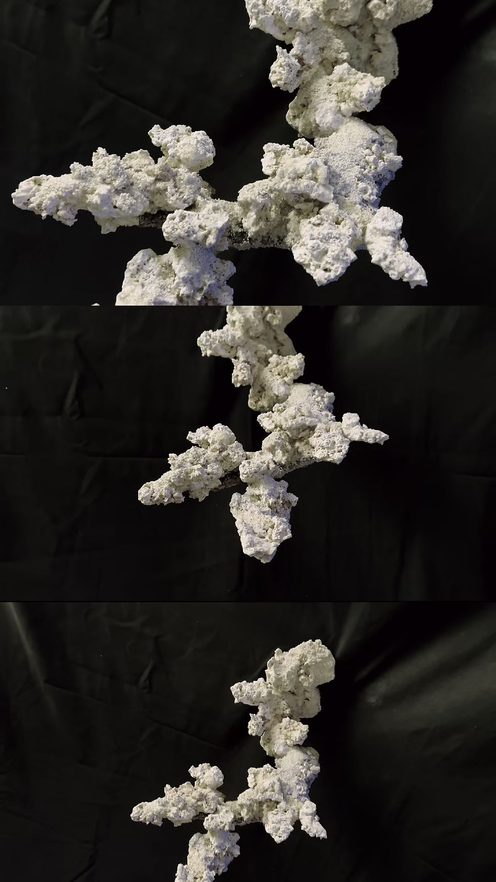 Floating Reef Rock 114: Auf Anfrage auch in rot