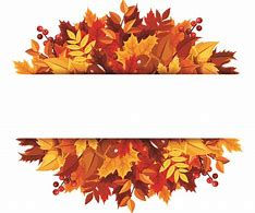 fall.jpeg