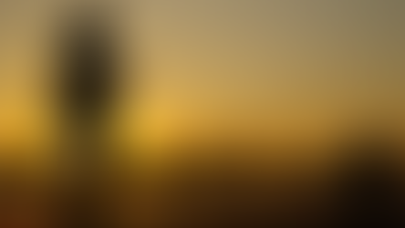 Remiremont - Une année intense pour les pêcheurs à la ligne