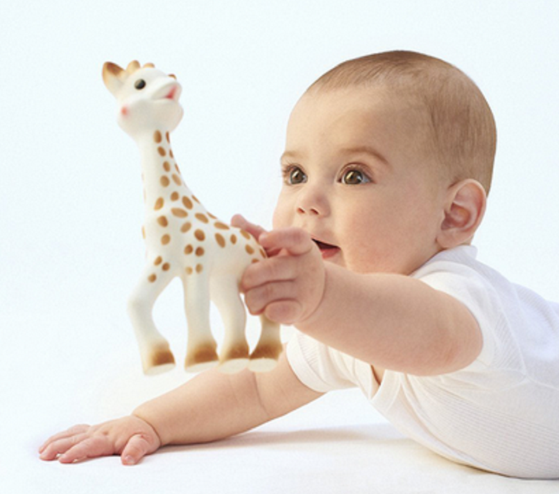 Saint-Nabord - Sophie la girafe : derrière l’icône du “made in France”, une production en partie délocalisée qui interroge