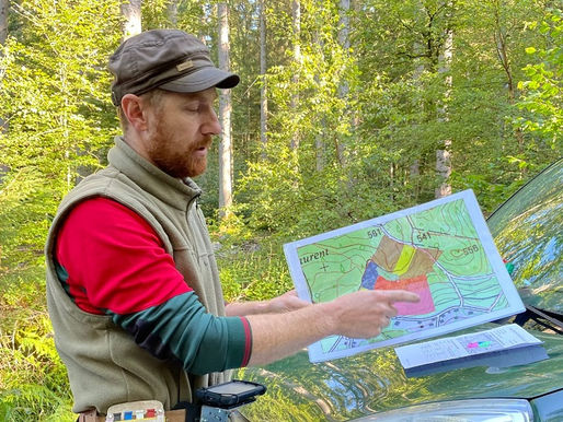 Saint-Nabord - Opération martelage en forêt communale.
