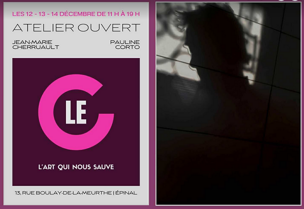 Épinal - Le « C – Atelier Ouvert » inaugure son premier week-end d’art partagé