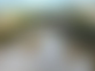 Eloyes – Opération sauvetage menée par l’AAPPMA sur le canal Tenthorey.