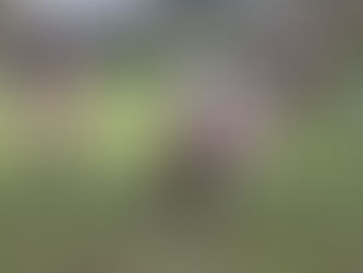 Eloyes – Chasse aux œufs en ce lundi de Pâques