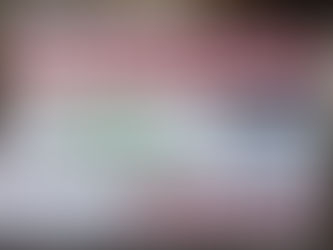 Eloyes - 9 terrains et une villa à vendre