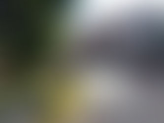 Remiremont - Inscription au concours des "Maisons Fleuries"