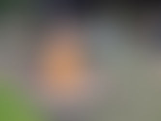 Saint-Nabord - Première rencontre scoute après le centenaire