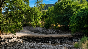Vosges - Le territoire connaît un niveau d'assèchement des sols sans précédent