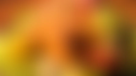 How Long to Roast a Chicken at 350?