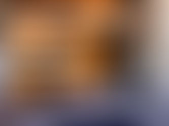 ELABORACIÓN DE ESPECIFICACIONES TÉCNICAS Y TÉRMINOS DE REFERENCIA