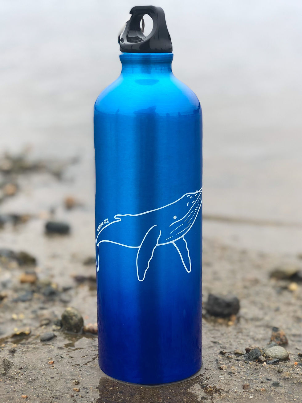 "Humpback" on Water Bottle