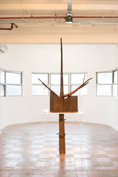 Who Is Close to the Wall, 2019, metal, apricot stones and perspex, 300x90x180 cm