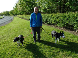 Green Howards Richmond Week-End Fri 13th -Mon 16th May 2016 058