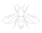 Bee Removal | Icon of a bee representing live-bee removal and relocation services