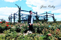 大阪ゲイマッサージ Grows セラピスト Kouhey(満開のバラ園にて)