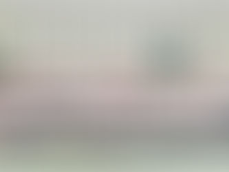 August 2024: UKA Summer School and Iaido Intensive Summer School 