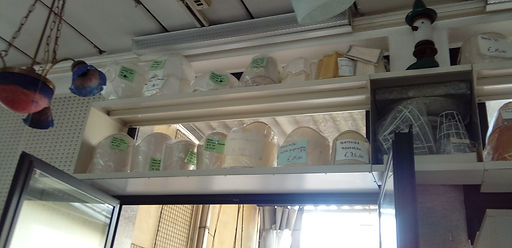 3 Agosto 2020 093.jpg