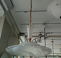 3 Agosto 2020 147.jpg