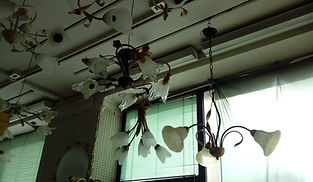 3 Agosto 2020 085.jpg