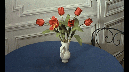 Ap9c.gif