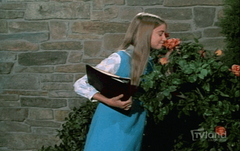 giphy (2).gif