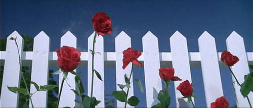 tumblr_mqzm0csUjU1s9ubomo1_500.gif